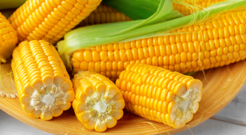 Its’s corn!